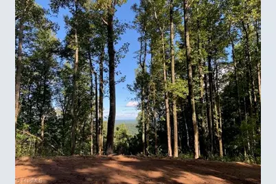 2480 Bethany Church Road, Moravian Falls, NC 28654 - Photo 1