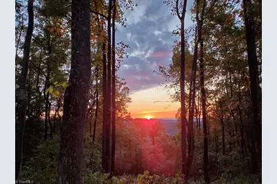 2480 Bethany Church Road, Moravian Falls, NC 28654 - Photo 3