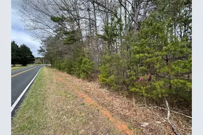 0 Brims Grove Road, Pinnacle, NC 27043 - Photo 1