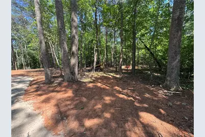 0 Brims Grove Road, Pinnacle, NC 27043 - Photo 3