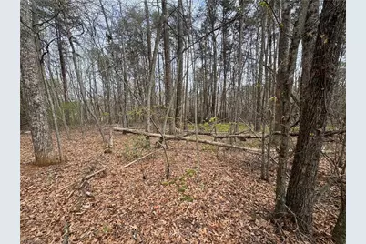 0 Brims Grove Road, Pinnacle, NC 27043 - Photo 7
