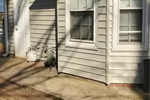 6314 Cardinal Wood Dr, Greensboro, NC 27410 - Photo 9