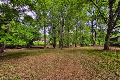 Tbd Rocklane Drive, Walkertown, NC 27051 - Photo 5