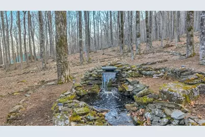 632 Big Tree Road, West Jefferson, NC 28694 - Photo 7