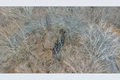 632 Big Tree Road, West Jefferson, NC 28694 - Photo 43