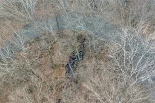 632 Big Tree Rd, West Jefferson, NC 28694 - Photo 43