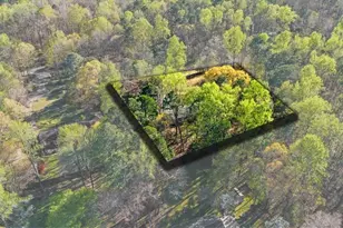 4605 Laura Dr, Climax, NC 27233 - Photo 39