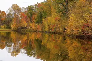 602 Wigeon Dr, Greensboro, NC 27455 - Photo 47