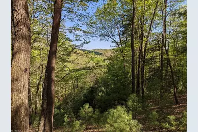 Tbd Sutters Ridge Road #Lot 94, McGrady, NC 28649 - Photo 1