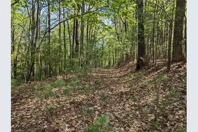 Tbd Sutters Ridge Road #Lot 94, McGrady, NC 28649 - Photo 5