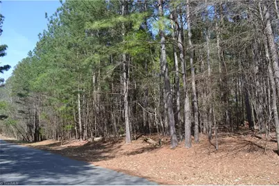 3.6 Acres Fairway Drive, Stoneville, NC 27048 - Photo 5