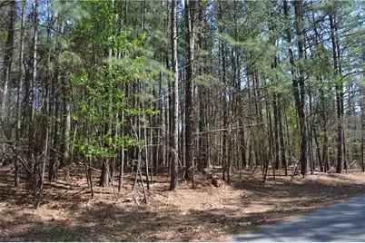 3.6 Acres Fairway Drive, Stoneville, NC 27048 - Photo 3