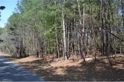 3.6 Acres Fairway Drive, Stoneville, NC 27048 - Photo 9