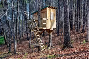 5200 Howard Ct, Efland, NC 27243 - Photo 37