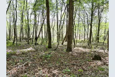 0000 Nc Highway 49 S, Concord, NC 27239 - Photo 33