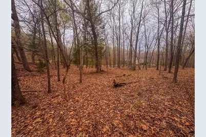 324 Rocky Cove Lane, Denton, NC 27239 - Photo 5