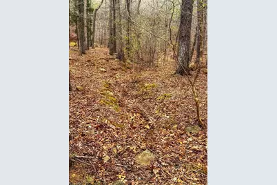 324 Rocky Cove Lane, Denton, NC 27239 - Photo 9