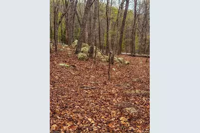 324 Rocky Cove Lane, Denton, NC 27239 - Photo 3