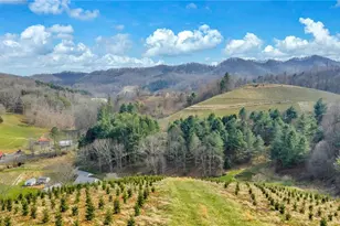 369 Spencer Branch Rd, Lansing, NC 28643 - Photo 47