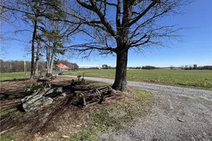 213 Judsville School Rd, Dobson, NC 27017 - Photo 7