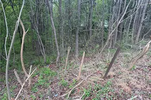 0-0-0 Meadowbrook Dr, King, NC 27021 - Photo 9