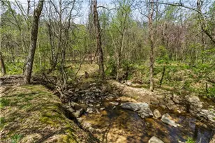 106 Mae Matilda Ct, Archdale, NC 27263 - Photo 25