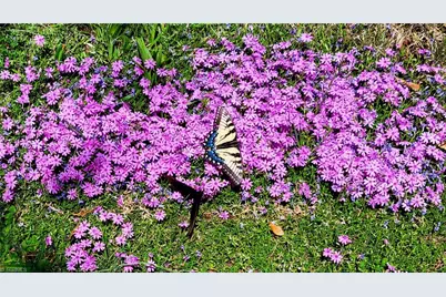 9825 Cherry Grove Road, Reidsville, NC 27320 - Photo 43