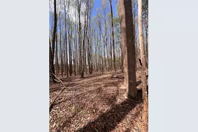 Tbd Caves Mill Road, Dobson, NC 27017 - Photo 5