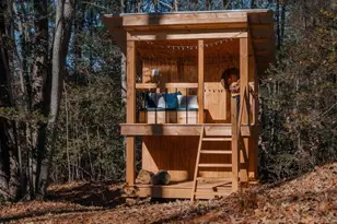 1005 Brewer Mill Rd, Traphill, NC 28685 - Photo 23