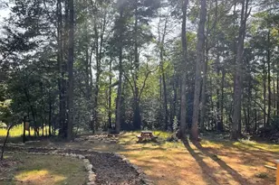 1005 Brewer Mill Rd, Traphill, NC 28685 - Photo 19