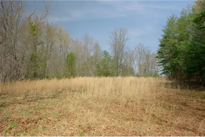 6071 Nc Highway 89 W, Westfield, NC 27053 - Photo 41