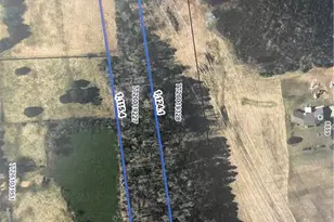 8797 Hillsville Rd, Trinity, NC 27370 - Photo 1