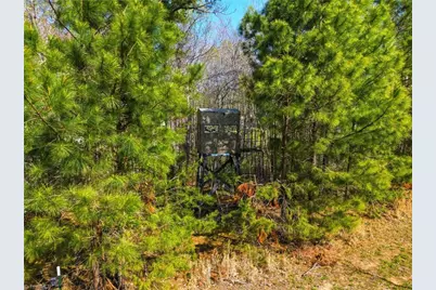 1011 Comer Road, Stoneville, NC 27048 - Photo 35