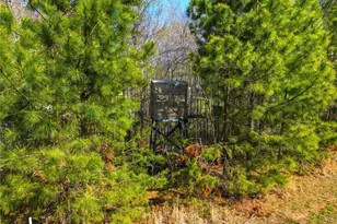 1011 Comer Rd, Stoneville, NC 27048 - Photo 35