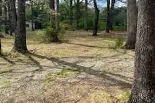 708 Lakedale Rd, Colfax, NC 27235 - Photo 3