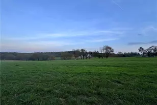 322 Layell Rd, Elkin, NC 28621 - Photo 37