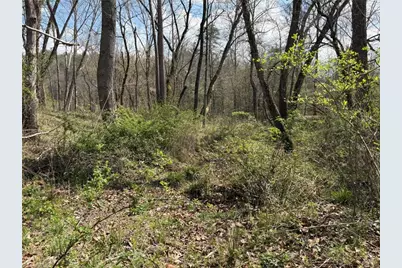 Tbd Cobblestone Lane, Ferguson, NC 28624 - Photo 5