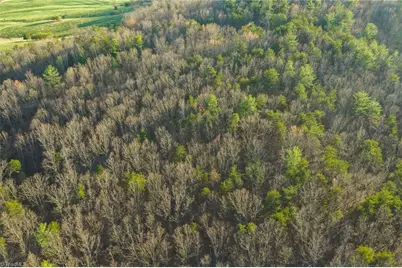 Tbd Lot 1 All Healing Springs Road, Taylorsville, NC 28681 - Photo 9