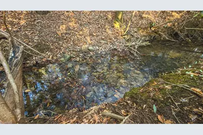 Tbd Lot 1 All Healing Springs Road, Taylorsville, NC 28681 - Photo 13