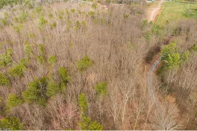 Tbd Lot 1 All Healing Springs Road, Taylorsville, NC 28681 - Photo 3