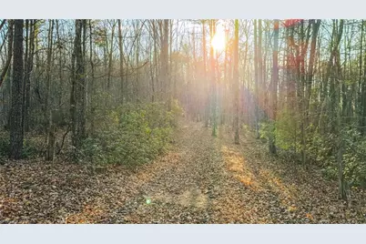 Tbd Lot 1 All Healing Springs Road, Taylorsville, NC 28681 - Photo 17