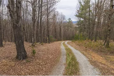 Tbd Lot 1 All Healing Springs Road, Taylorsville, NC 28681 - Photo 1