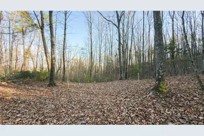 Tbd Lot 2 All Healing Springs Road, Taylorsville, NC 28681 - Photo 25