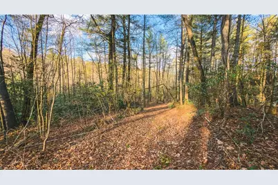 Tbd Lot 2 All Healing Springs Road, Taylorsville, NC 28681 - Photo 13