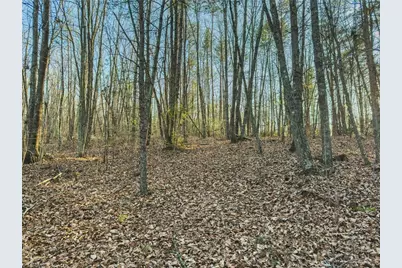 Tbd Lot 2 All Healing Springs Road, Taylorsville, NC 28681 - Photo 11