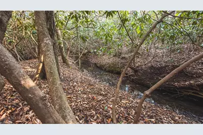 Tbd Lot 2 All Healing Springs Road, Taylorsville, NC 28681 - Photo 17