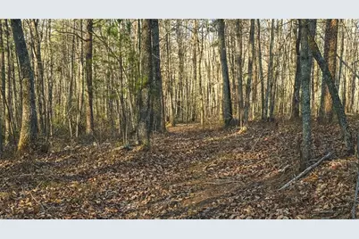 Tbd Lot 2 All Healing Springs Road, Taylorsville, NC 28681 - Photo 21