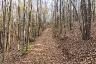 Tbd Lot 2 All Healing Springs Rd, Taylorsville, NC 28681 - Photo 1