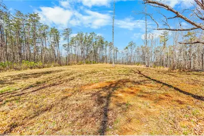 0 Farm Road, Pilot Mountain, NC 27041 - Photo 17
