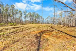 0 Farm Rd, Pilot Mountain, NC 27041 - Photo 17